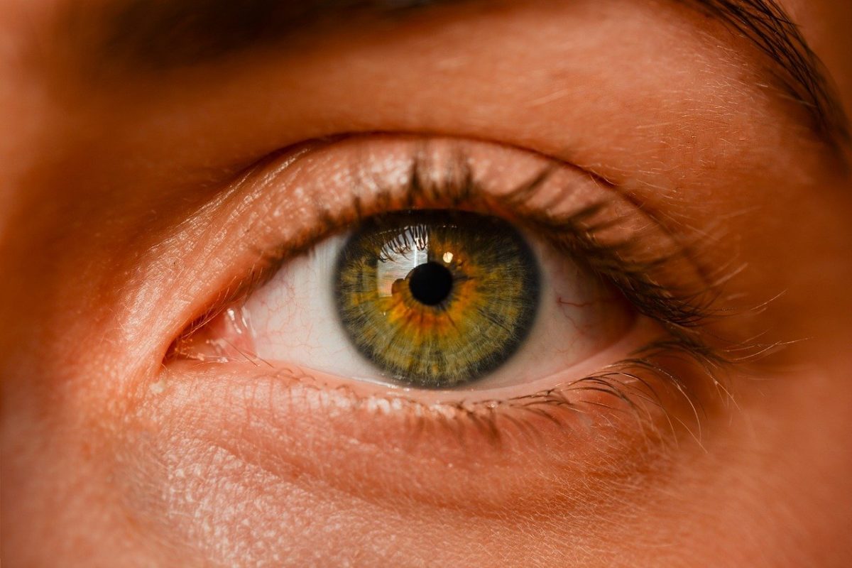 Oczy to nietypowy organ. To dokładnie dzięki nim rozróżniamy.